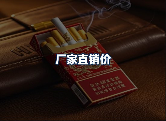 专业团队办公环境